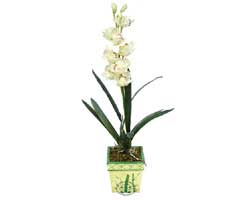 zel Yapay Orkide Beyaz   iekiler bursa 