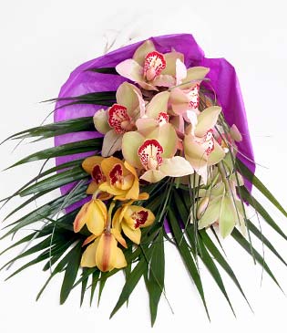  Bursa iek gnder  1 adet dal orkide buket halinde sunulmakta
