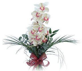  Bursa iekisi hediye iek yolla  Dal orkide ithal iyi kalite