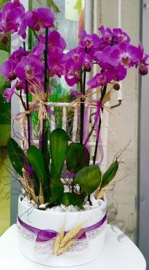 Seramik vazoda 4 dall mor lila orkide  Bursa iek yolla  